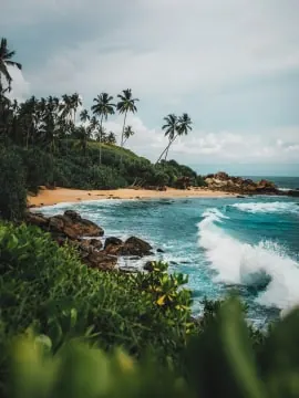 Tropical coastline